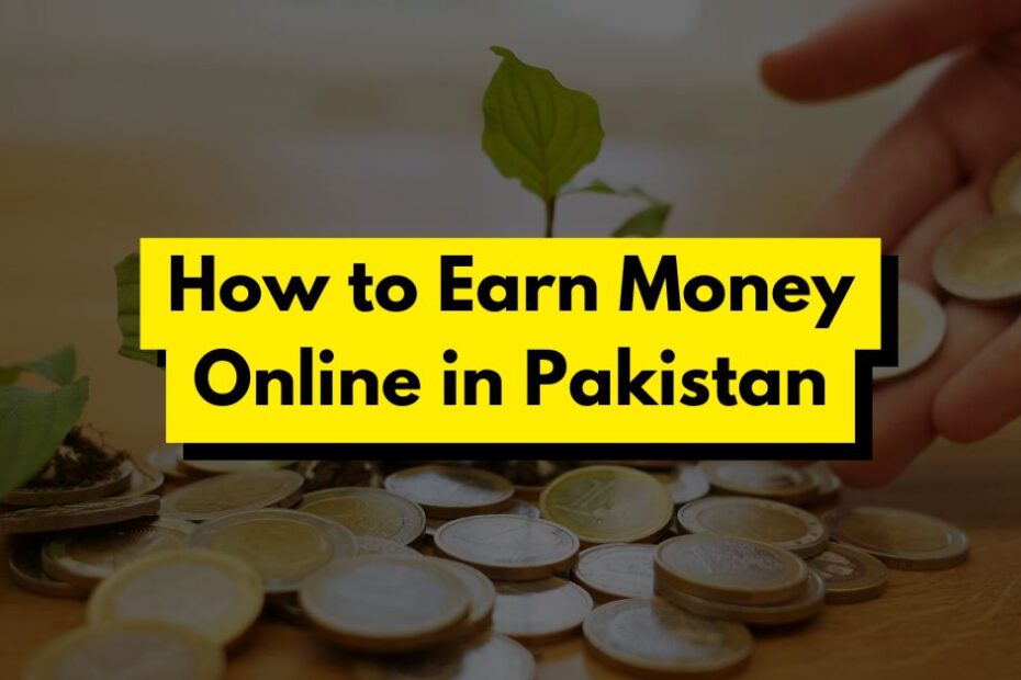 How to Earn Money Online in Pakistan